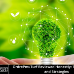 QPO Energy: A Comprehensive Review of Its Sustainable Power Solutions