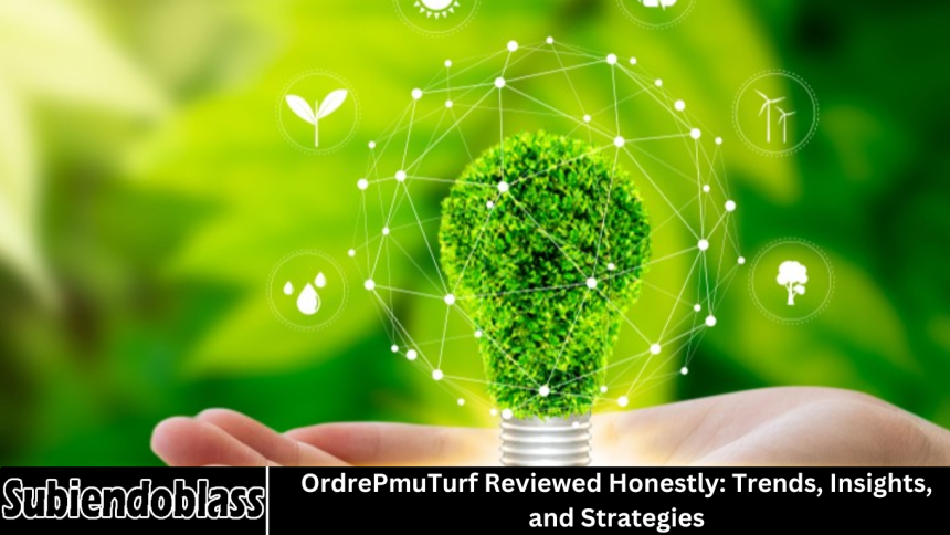 QPO Energy: A Comprehensive Review of Its Sustainable Power Solutions